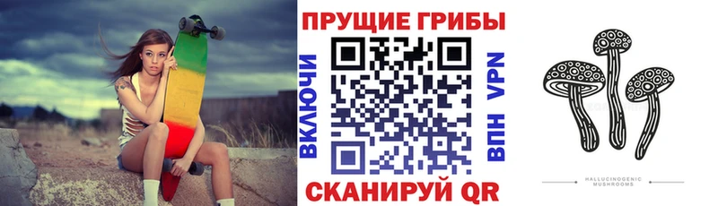 Галлюциногенные грибы MAGIC MUSHROOMS  Абакан 